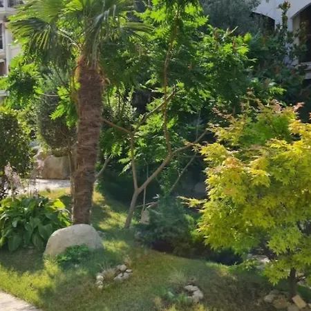 Private In Harmony Dream Island