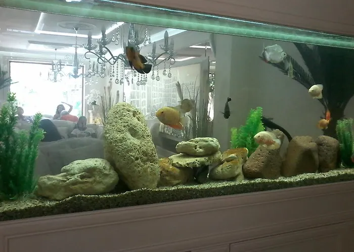 Apartman Private In Harmony Dream Island Napospart