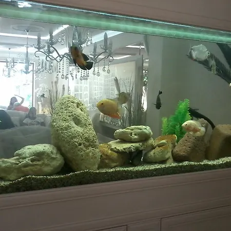 Апартамент Private In Harmony Dream Island Слънчев бряг